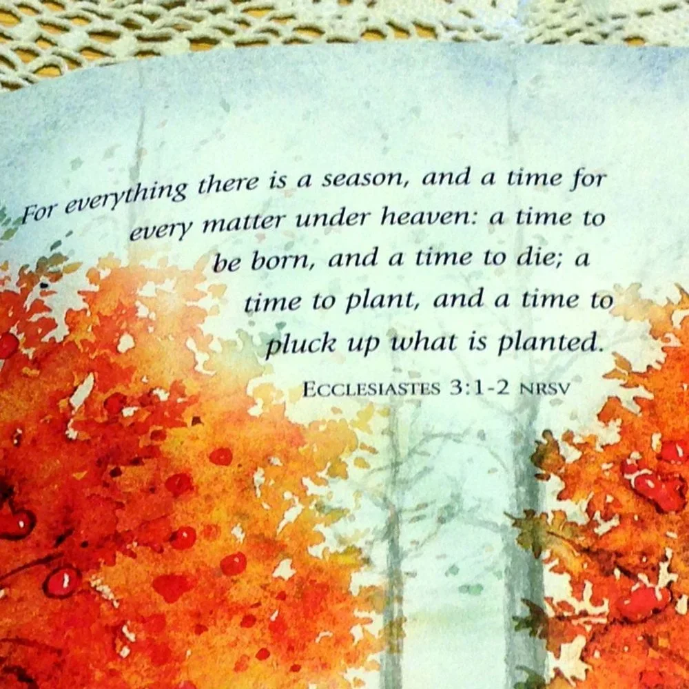 Book Sale! 3 for $10! Bible Inspiration - Gifts from my Garden
